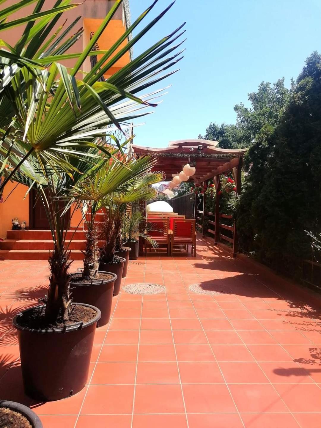 Vila Floarea Etiquette Costinesti Bagian luar foto